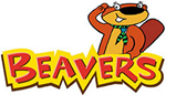 beaver icon