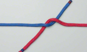 reef knot3